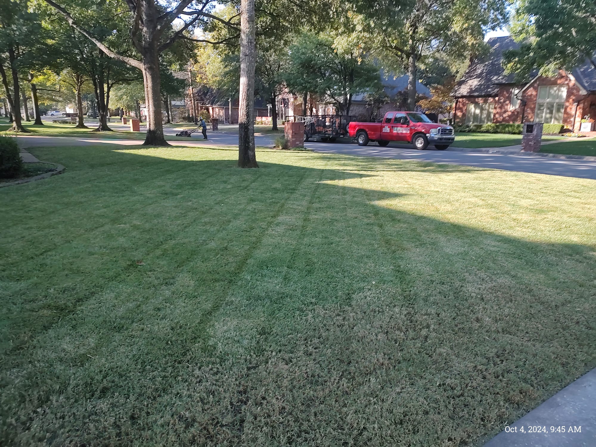 WhatsApp Image 2025-04-27 at 07.38.25