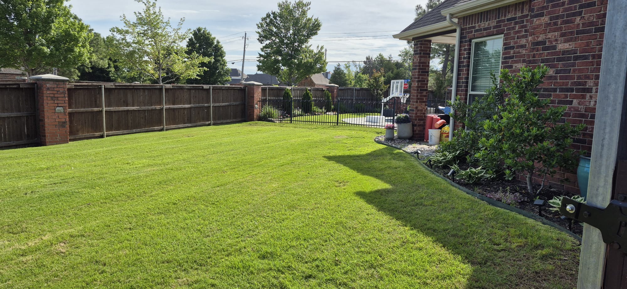 WhatsApp Image 2025-05-14 at 05.53.56